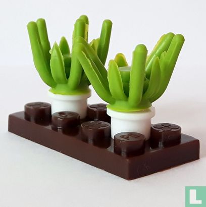 Lauch - Bild 1