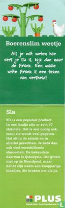 Grüner Salat - Bild 3