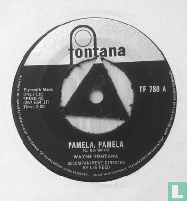 Pamela, Pamela - Bild 1