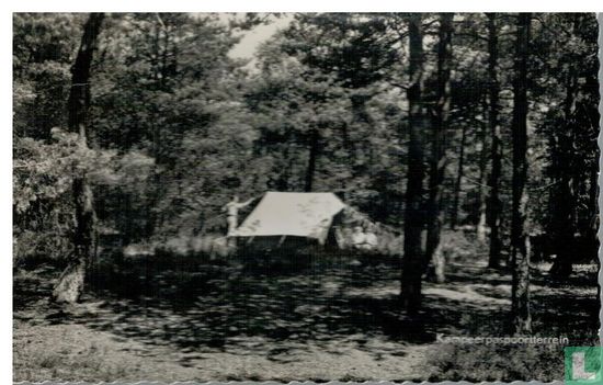 Camping "De Reebok", Kampeerpaspoortterrein