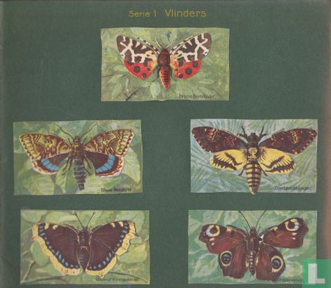 Plaatjes Album  Vlinders en Vogels. Philips - Afbeelding 2