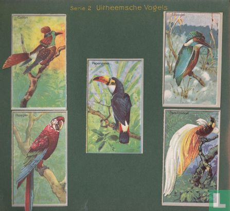 Plaatjes Album  Vlinders en Vogels. Philips - Afbeelding 3