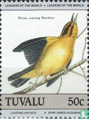 Audubon birds