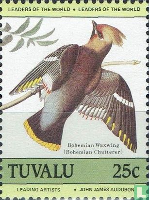 Audubon birds