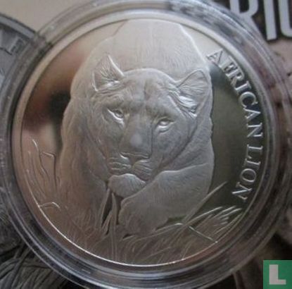 Tsjaad 5000 francs 2017 "African Lion" - Afbeelding 2