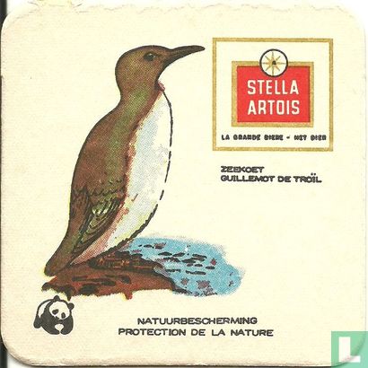 Natuurbescherming vogels : Zeekoet