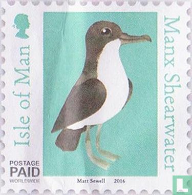 Oiseaux de Matt Sewell