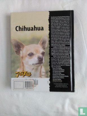 Chihuahua - Bild 2