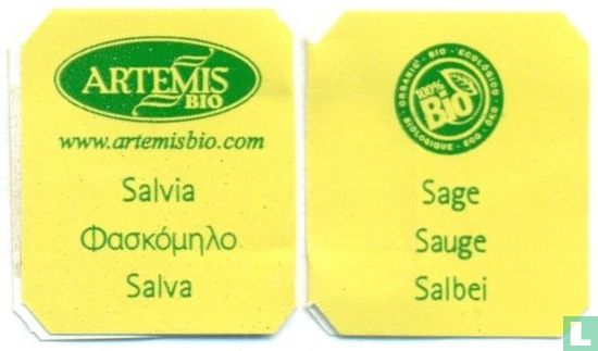 Salvia - Image 3