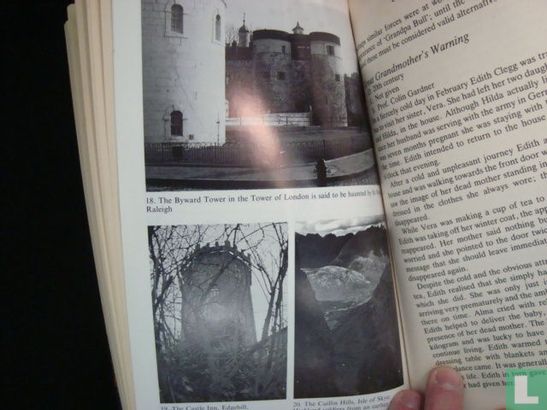 The Encyclopedia of Ghosts and Spirits - Image 3