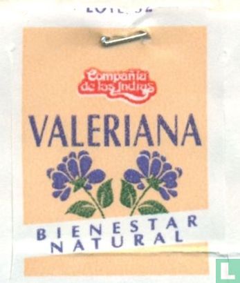 Valeriana  - Afbeelding 3