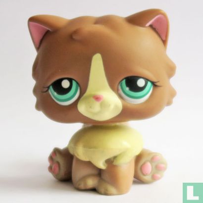 Perzische kat - Afbeelding 1