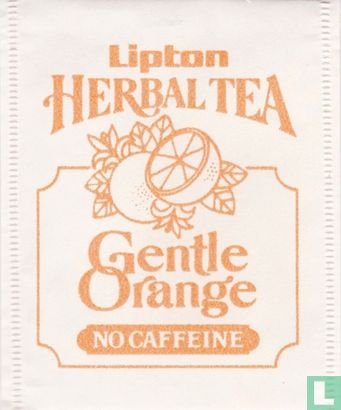 Gentle Orange - Image 1