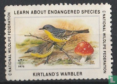 Kirtland's warbler (Kirtlands zanger)