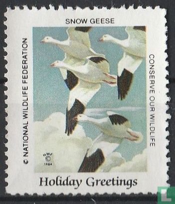 Snow Geese (Sneeuwganzen)