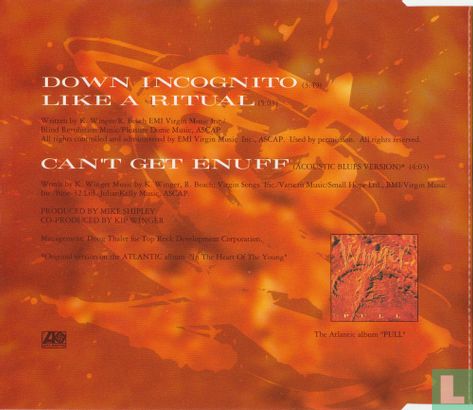 Down Incognito - Image 2