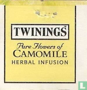 Pure Flowers of Camomile  - Image 3
