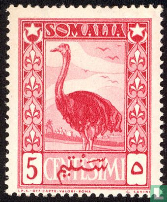 Somalischer Strauß