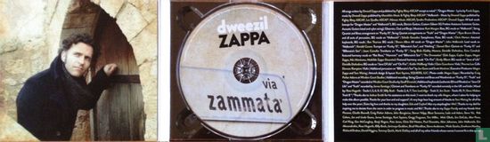  Dweezil Zappa Via Zammata - Bild 3