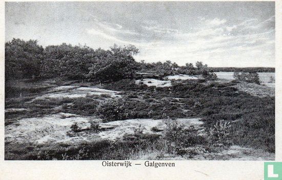 Oisterwijk - Galgenven