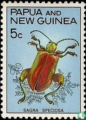 Indigenous beetles