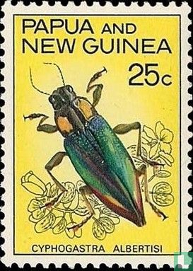 Indigenous beetles