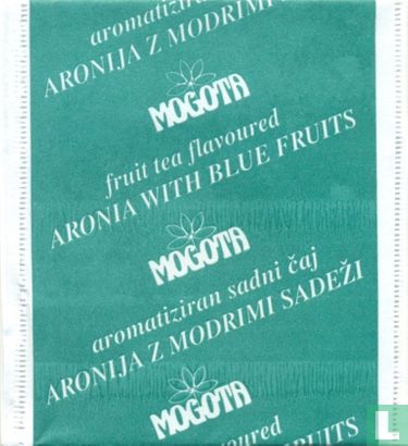 Aronia with Blue Fruits - Bild 1