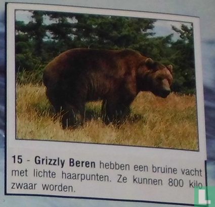 Grizzly Beren