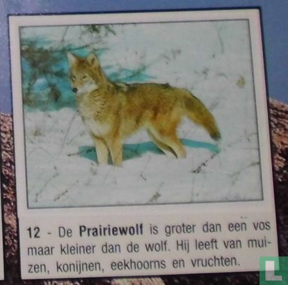 Prairiewolf