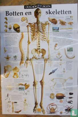 Botten en skeletten - Image 2