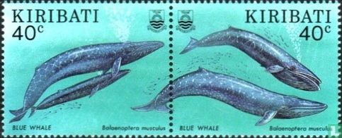Baleines  