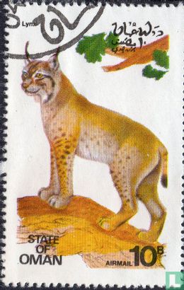 Euraziatische lynx
