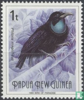 Magnificent Riflebird Drawing Magnificent riflebird 1 (1993) - Papua New Guinea - LastDodo