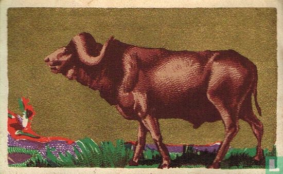 De buffel - Image 1