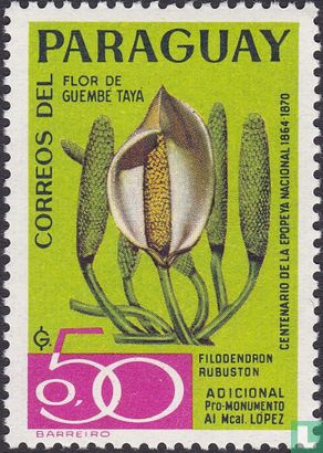 Filodendron Rubuston