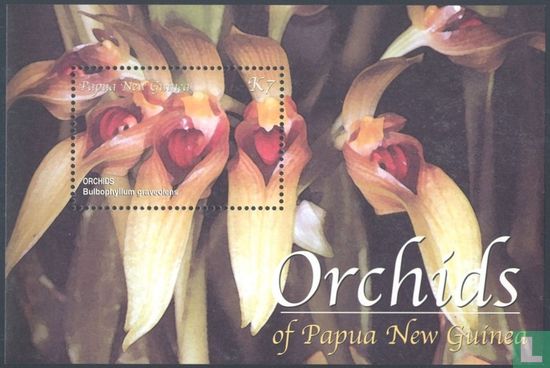 Orchids  
