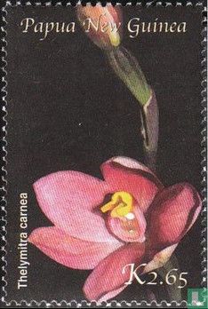 Orchideen     