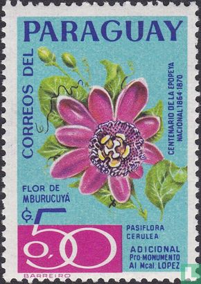 Coerulea Pasiflora