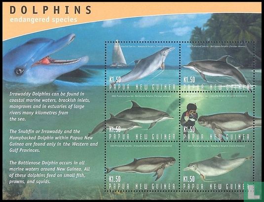 Dolfijnen   