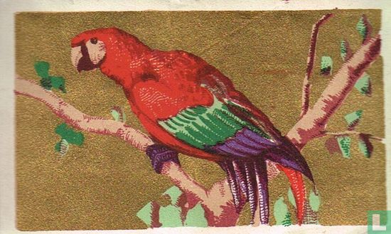 De papegaai - Afbeelding 1