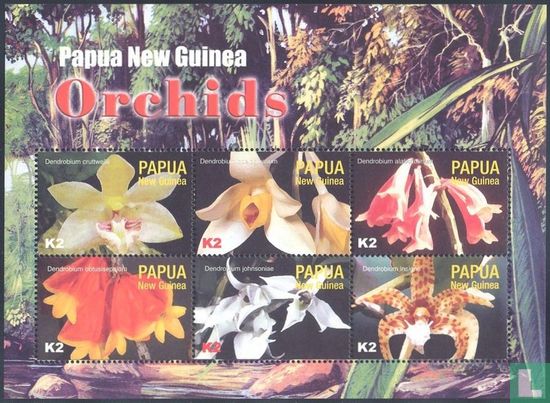 Orchideeën 