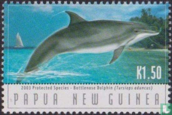 Dolfijnen 
