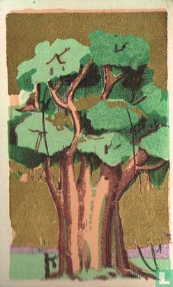 Afrikaansche baobab - Image 1