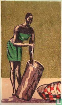 Bereiding van het manioc - Afbeelding 1