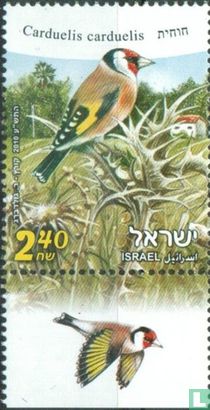 Israelische Vögel