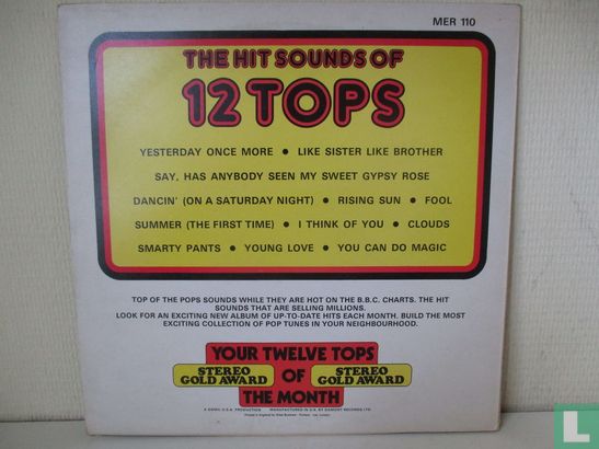 12 Tops Todays Top Hits - Image 2