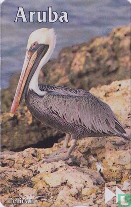 Pelican - Afbeelding 1