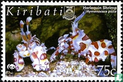 WWF - Harlequin Shrimp