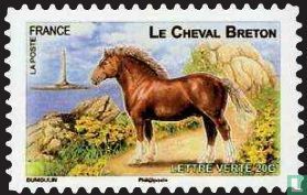 French horses