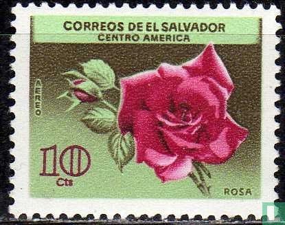 Roses (055)